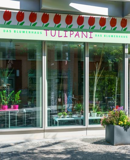 Tulipani
